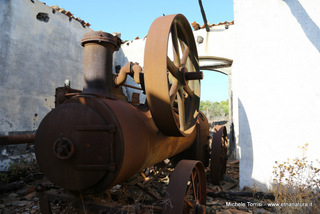 zzena-13-09-2014 08-49-12